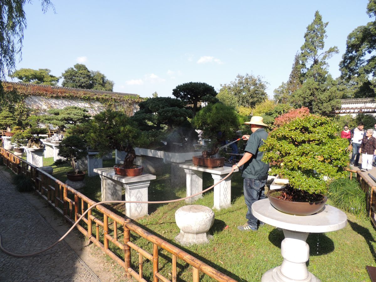 China