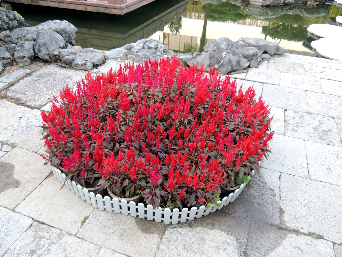 China