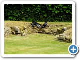 Birds lounging in Abbey footings