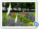 Garden along Atholl Place