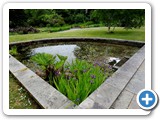 Pond outside museum