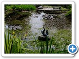 Pond in gardens