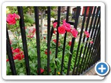 Simnel Community Garden