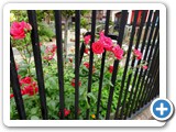 Simnel Community Garden