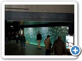 Atlanterhavspaken - The Norwegian Aquarium