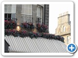 Flowers above an awning