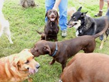 Hunter & Bruno get into the scrum.