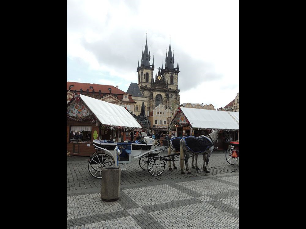 DSCN0628